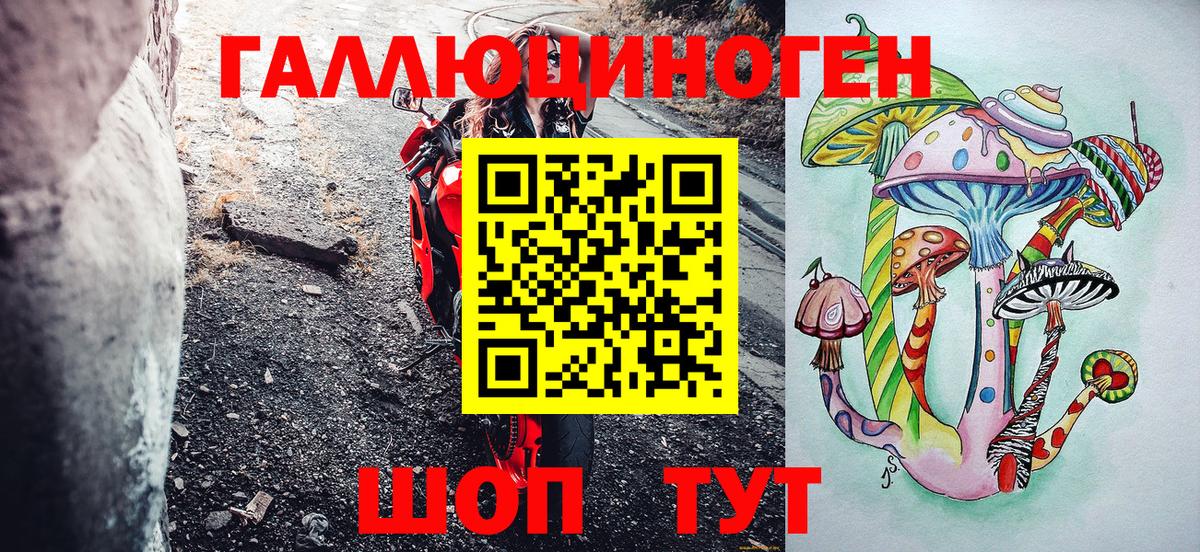 Псилоцибиновые грибы Psilocybe Альметьевск